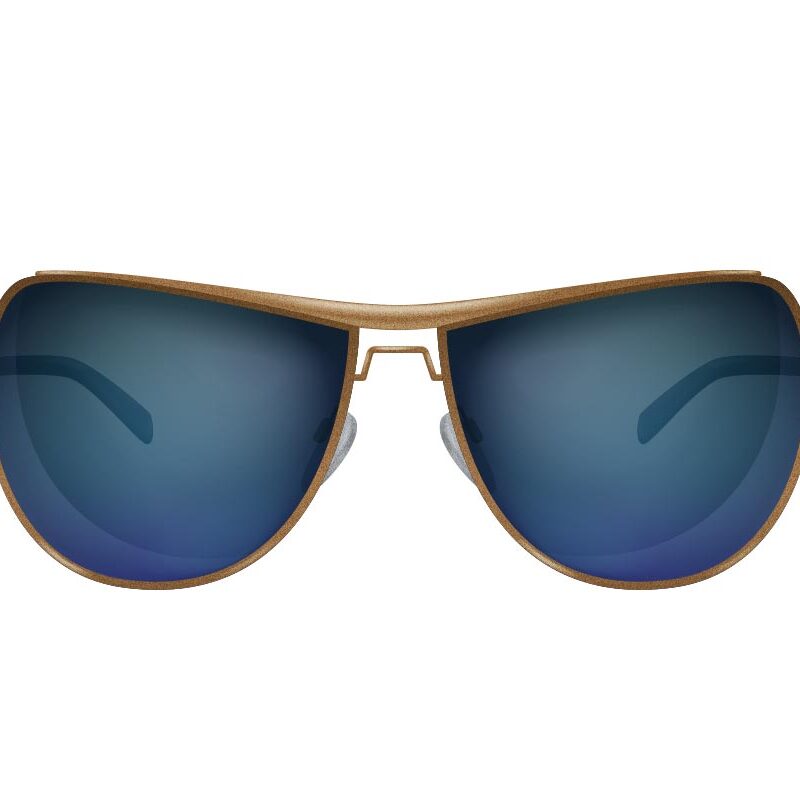 Anteojos de sol y vista 2